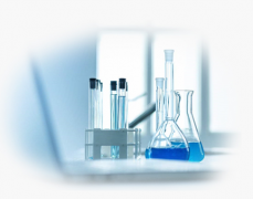 工業探花91在线观看