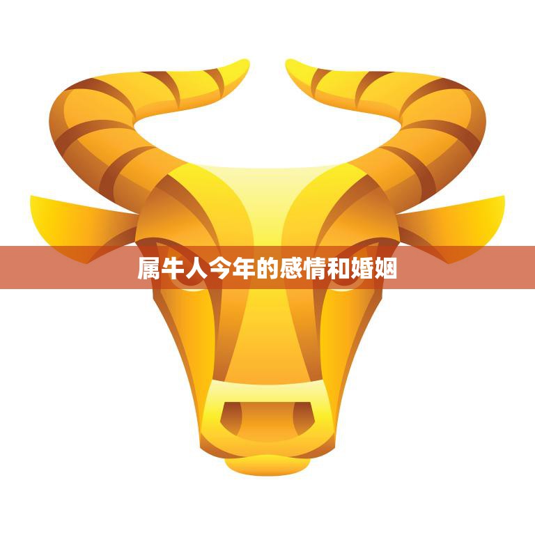 属牛人士必备:如何利用绿色植物提升办公环境的正能量