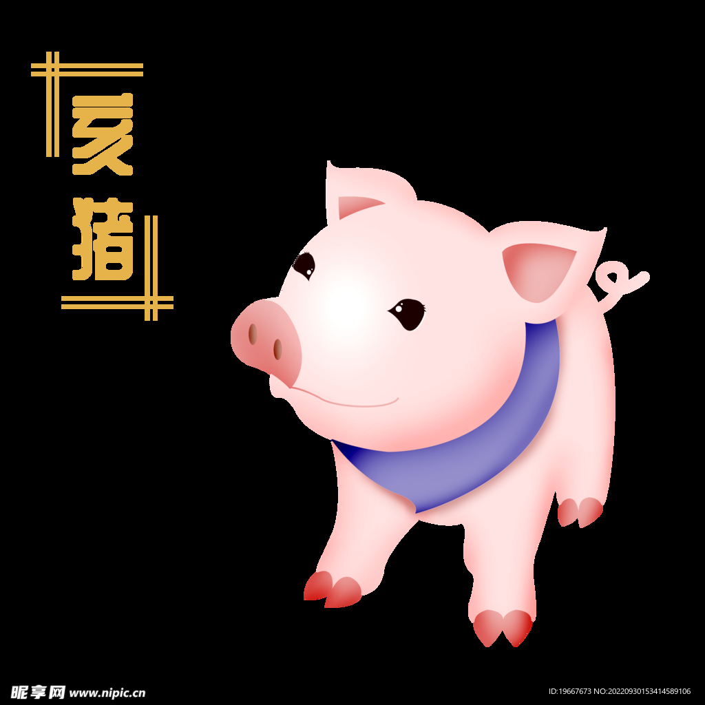 探索生肖猪的运势秘籍,游轮旅行防晕船药物推荐