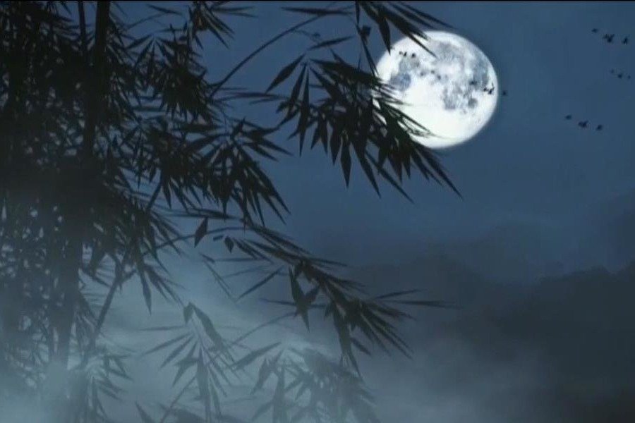 7月24日白羊座运势解析：生活快节奏与高效待办事项指南