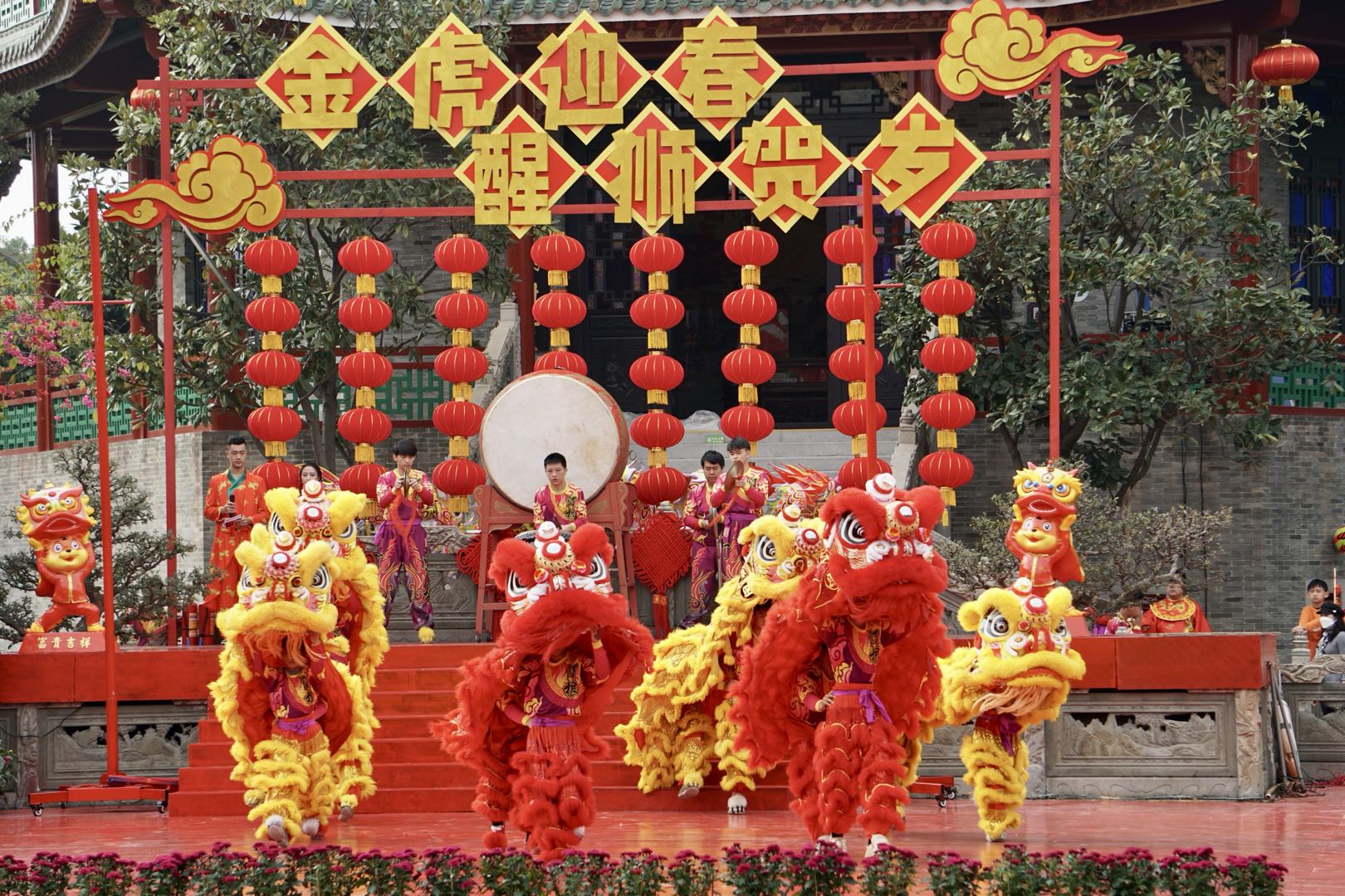 7月24日狮子座运势解析：学习专注核心领域，迈向专业权威之路
