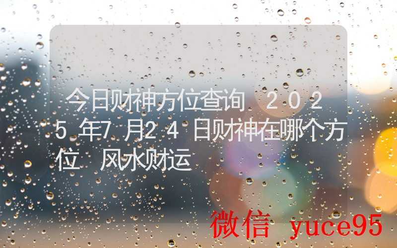 7月24日天秤座运势解析：职场协调多方利益，共创双赢局面