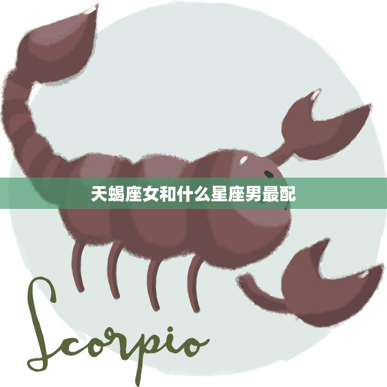 天蝎座必看今日运势:发现隐藏的旅途之美