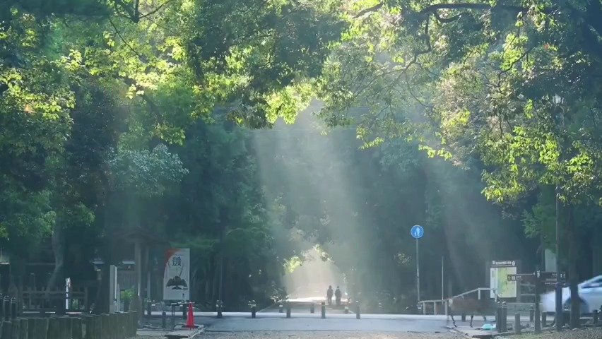 活力清晨点燃新的一天:开启全新旅程