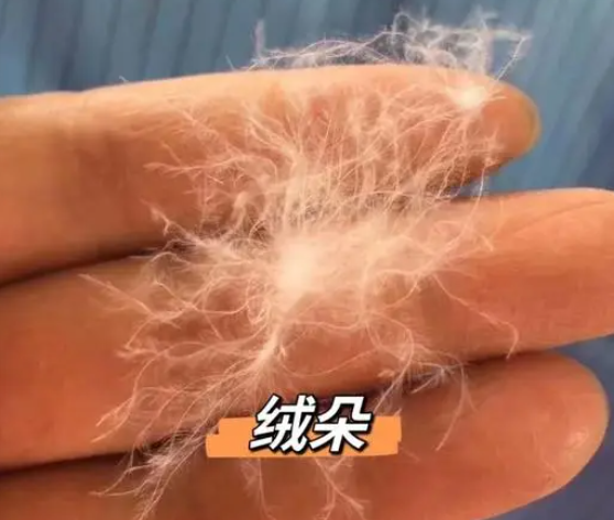 寒冬将至,不要让 “飞丝” 伪装成 “羽绒” 坑了你!