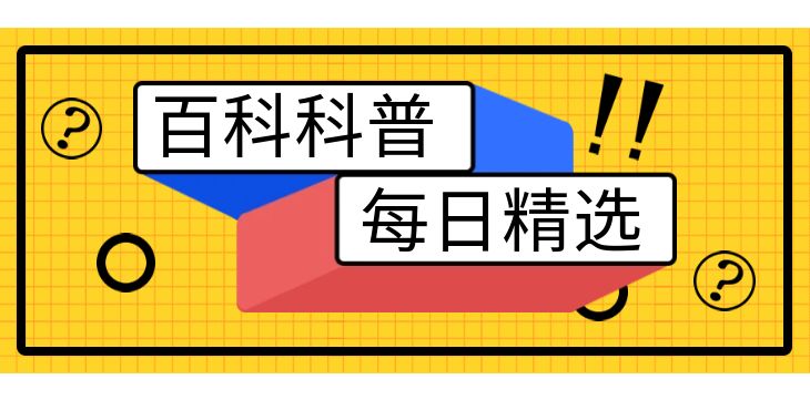百科大全